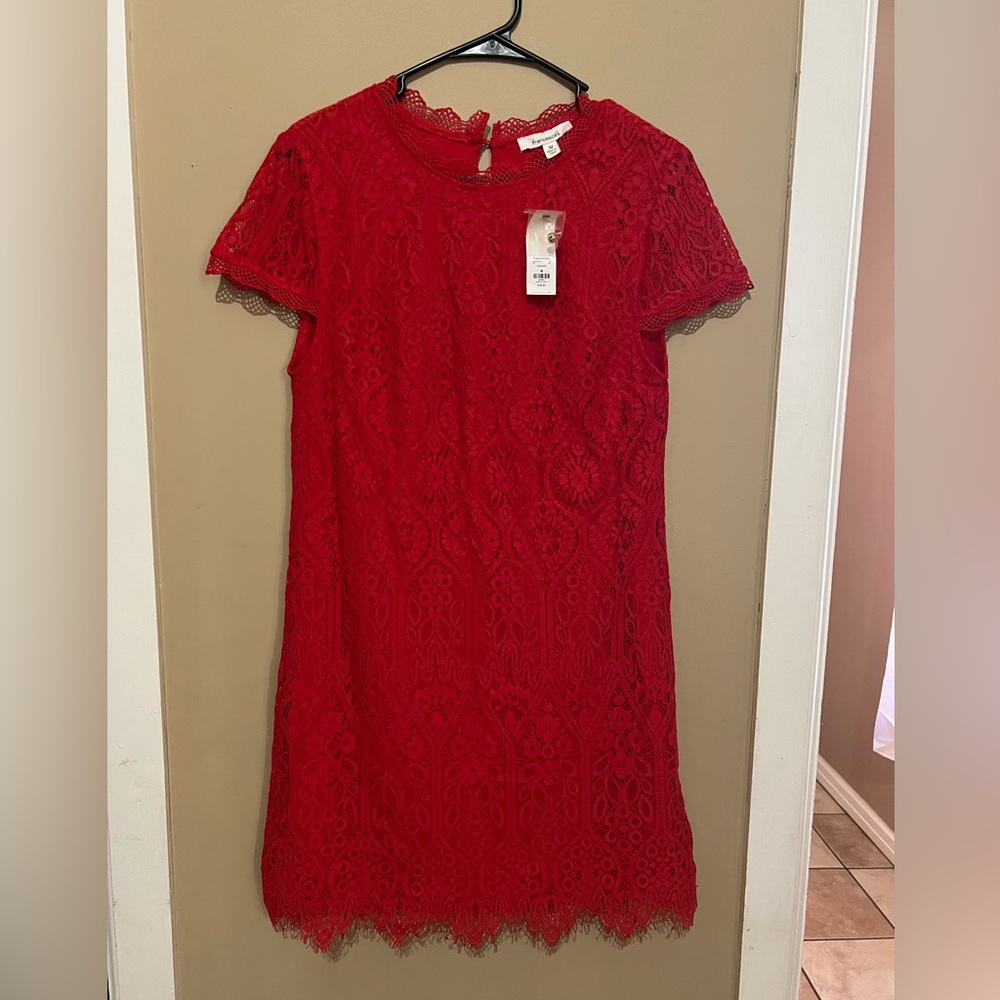 Francesca's Collections Vibrant Red Lace Mini Dress